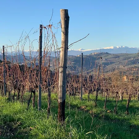 Alloggio per agriturismo Oliveta Del Tabernacolo
