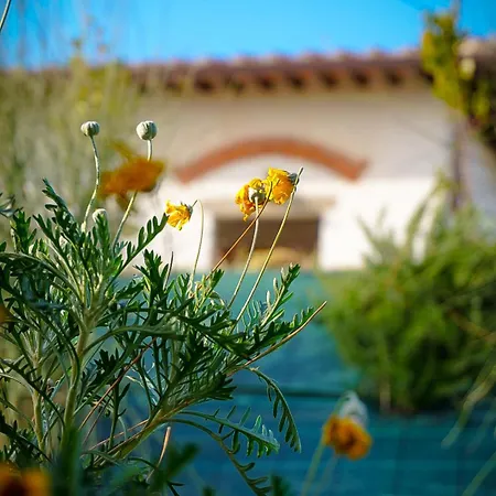Alloggio per agriturismo Oliveta Del Tabernacolo *